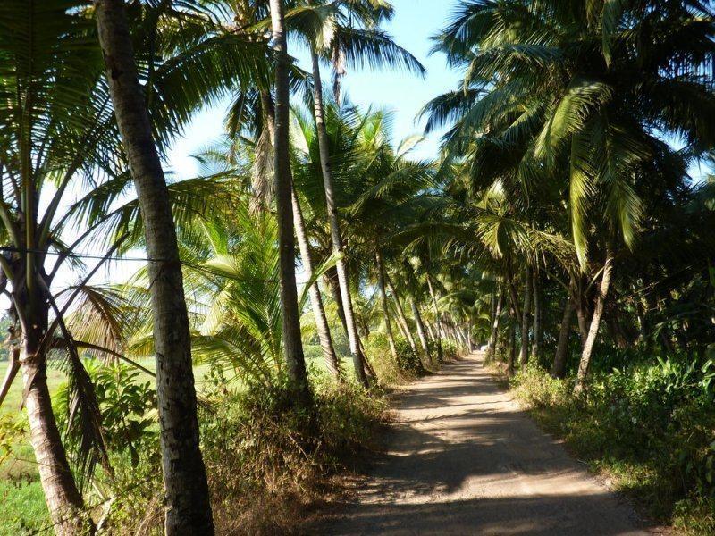 Coconut Grove Beach Resort Колва Екстериор снимка